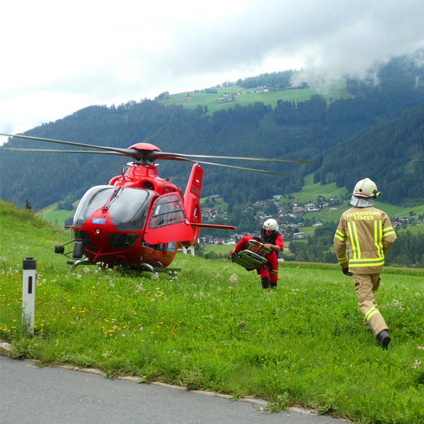 Drones in search and rescue of people and animals
