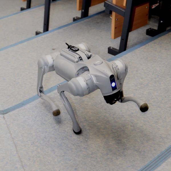 Drone‑based 3D models